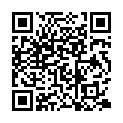 Christian Alati, Giuseppe Ielasi, Ruggero Radaele, Domenico Sciajno - 1997 - ...I Am Surprised While It Is Actually Happening... (FLAC, Leo Lab 38)的二维码