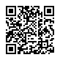 神探狄仁杰III全48集.2008.国语中字￡圣城南山石的二维码