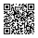 [BBsee]《锵锵三人行》2007年12月06日 美国人比中国人更怕警察？的二维码