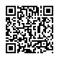 Mr. Robot (2015) Season 2 S02 + Extras (1080p BluRay x265 HEVC 10bit AAC 5.1 RCVR)的二维码